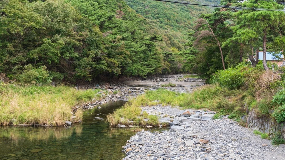 충남 심연동계곡 체험, 입장료 없는 청정 자연 즐기기