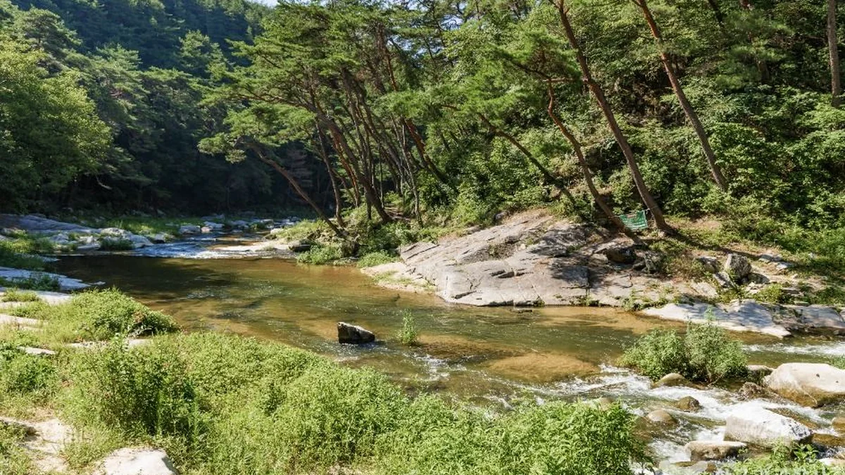 석천계곡