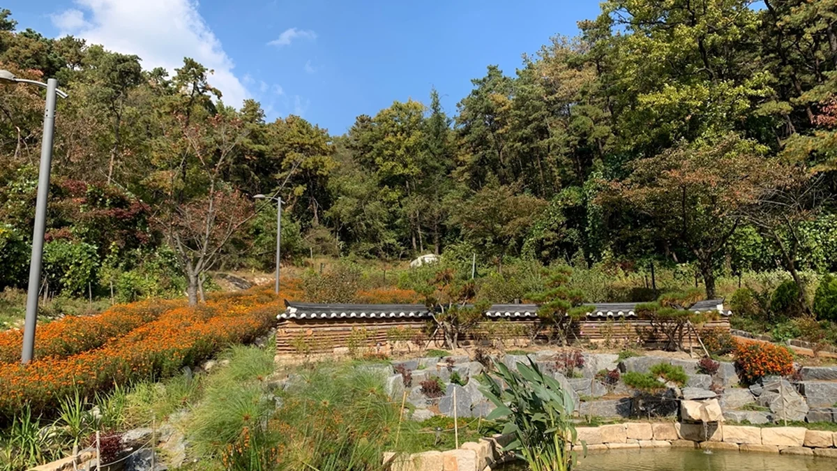 보현선원