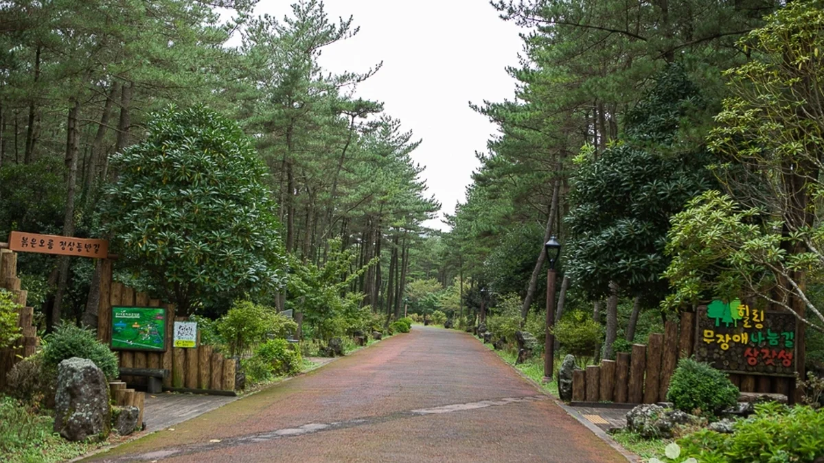 제주 붉은오름자연휴양림 체험, 힐링의 모든 것