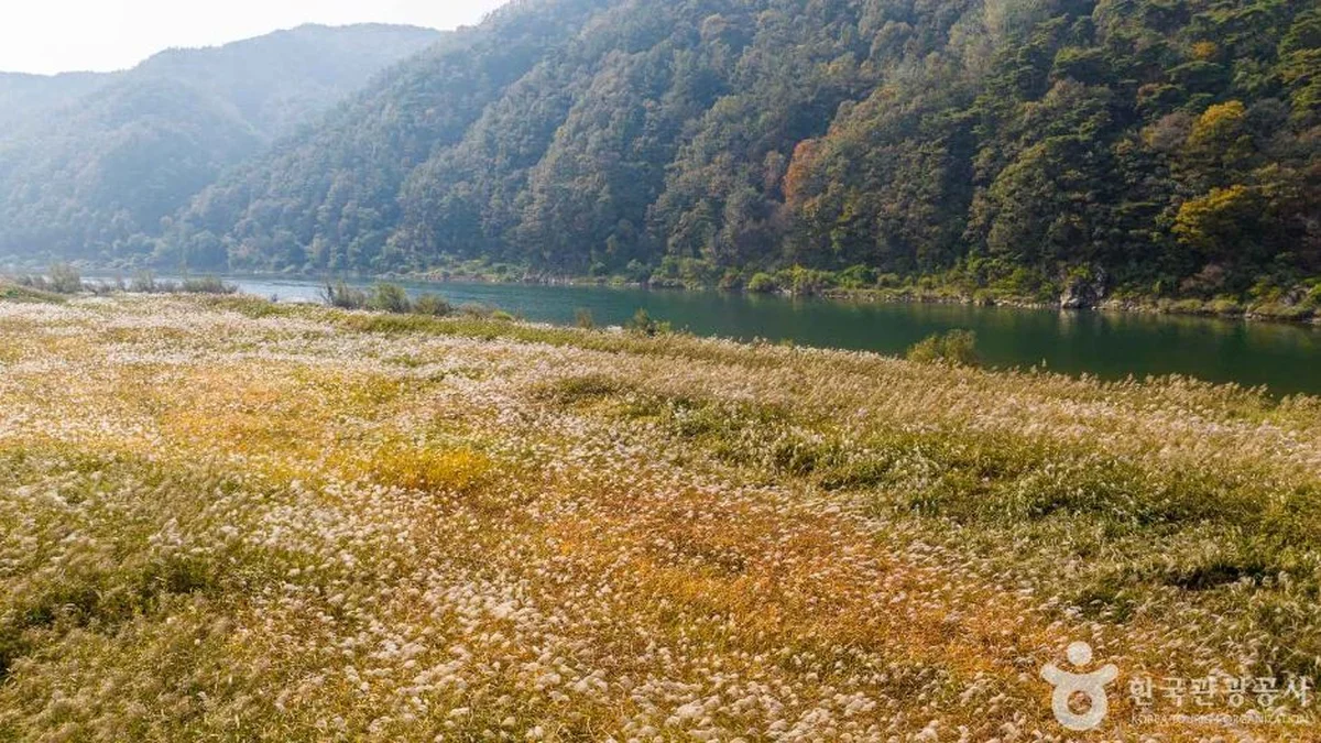 소백산 천문대