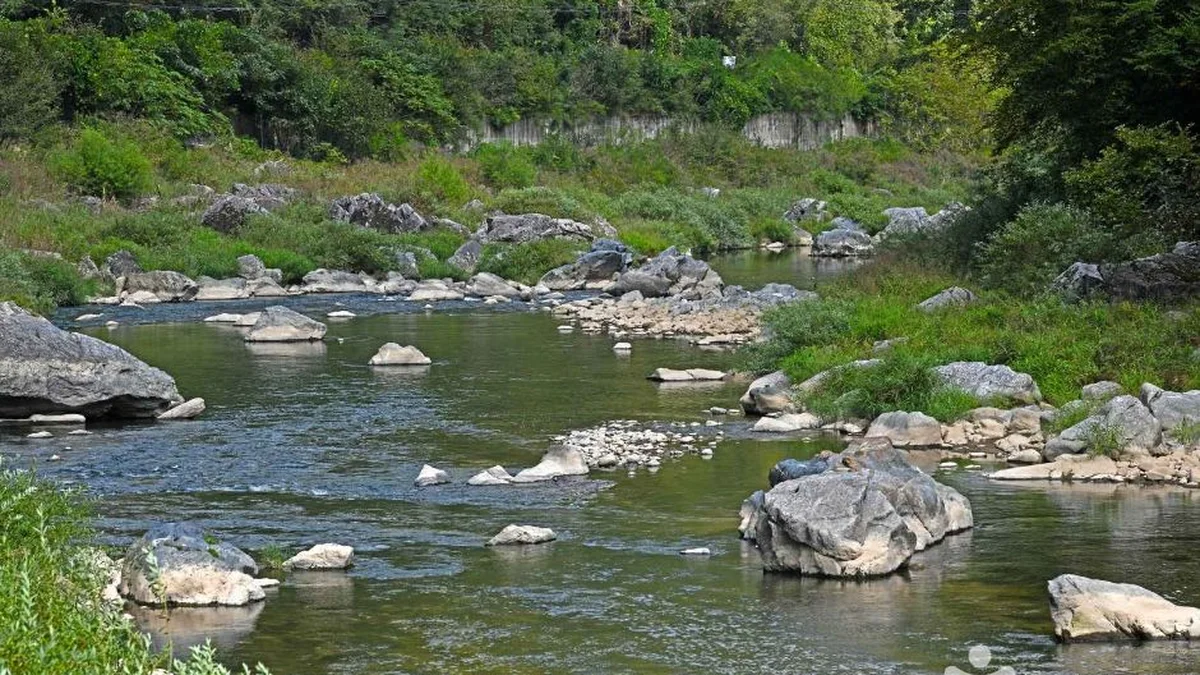 미산계곡
