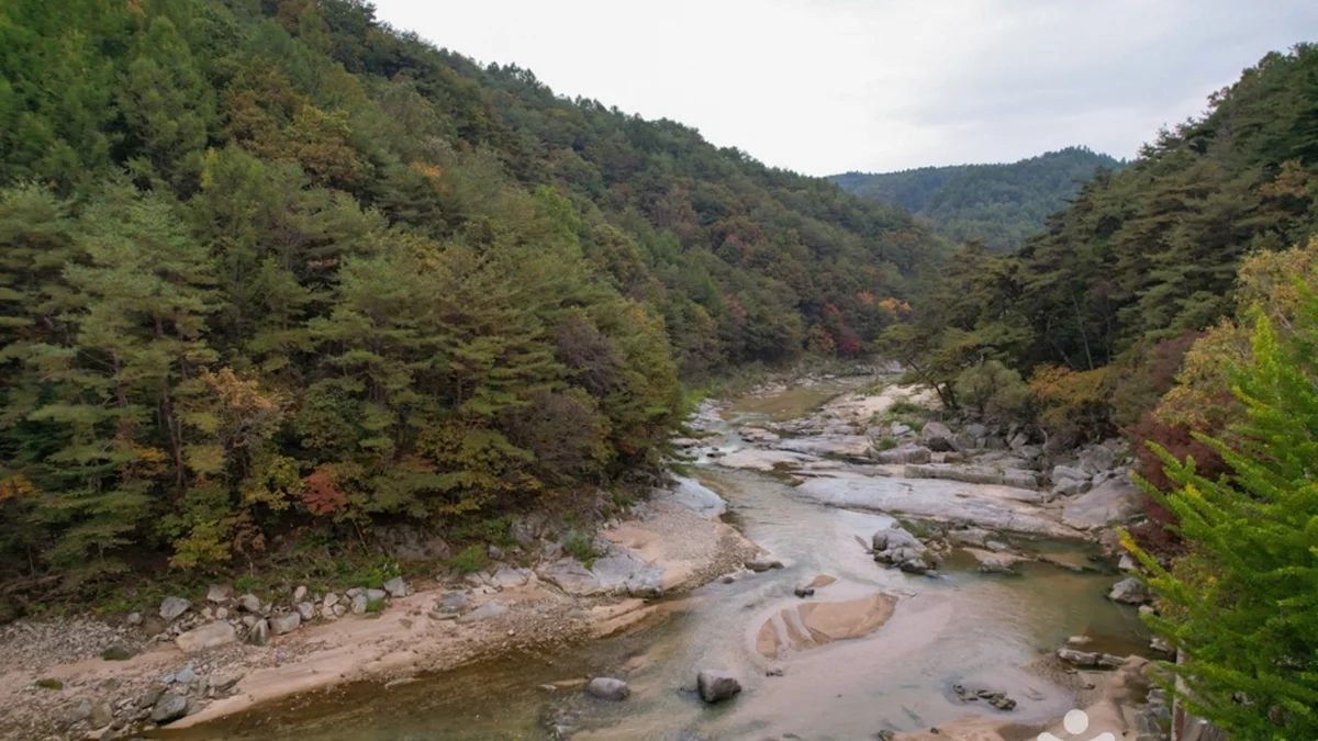 경북 사미정계곡 체험, 연중무휴로 즐기는 자연 여행