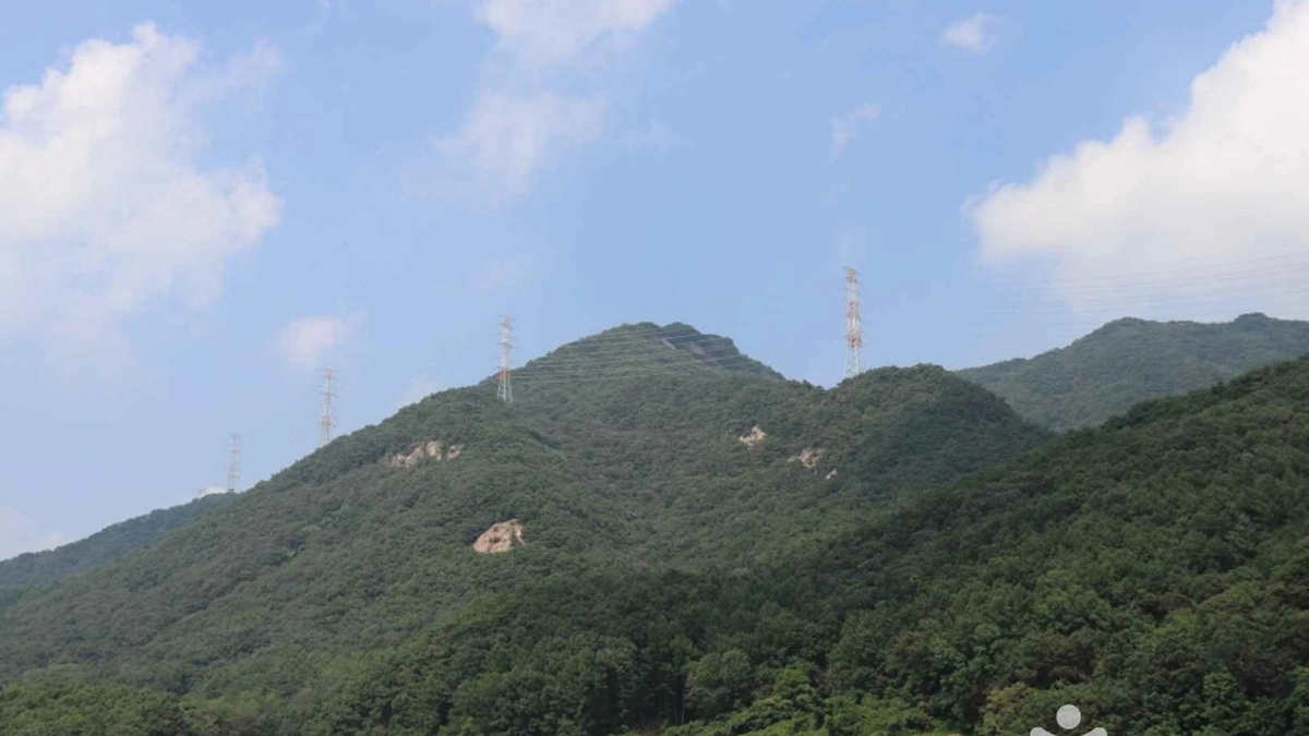 충북 보련산 체험, 사계절 자연 경관의 즐거움