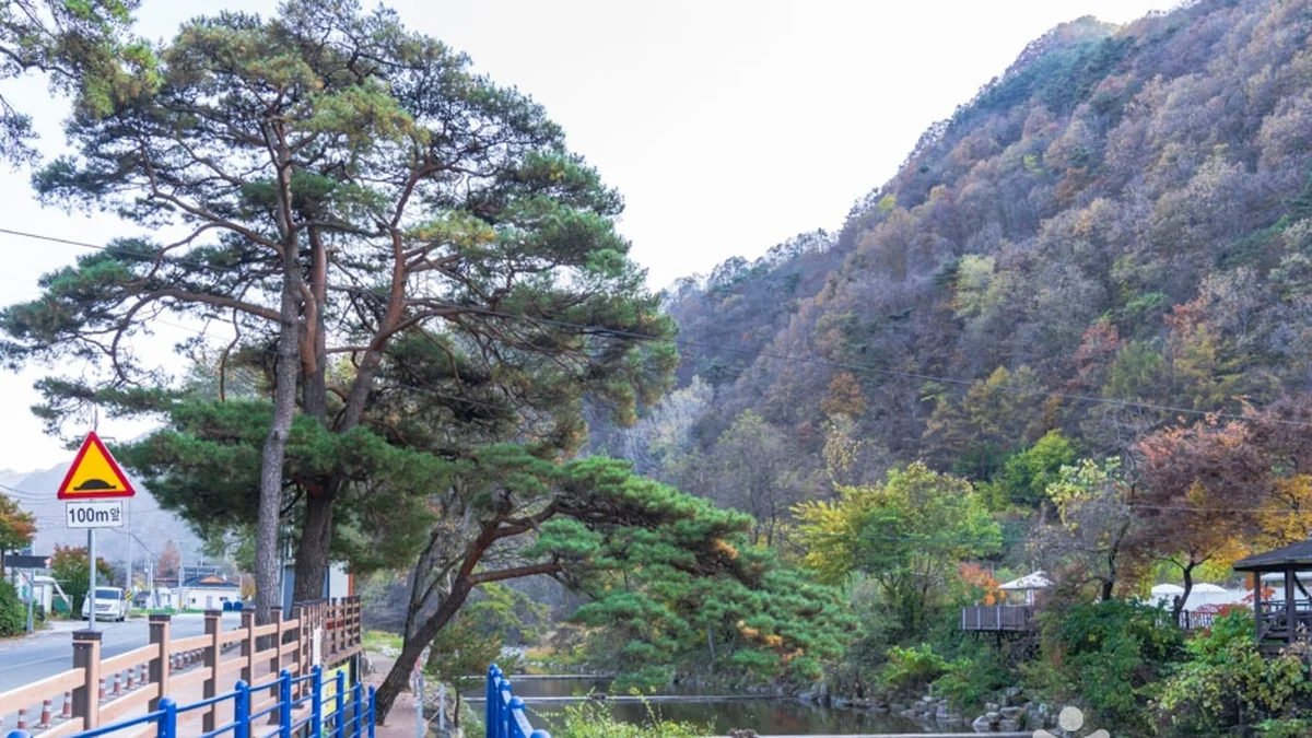 남천계곡