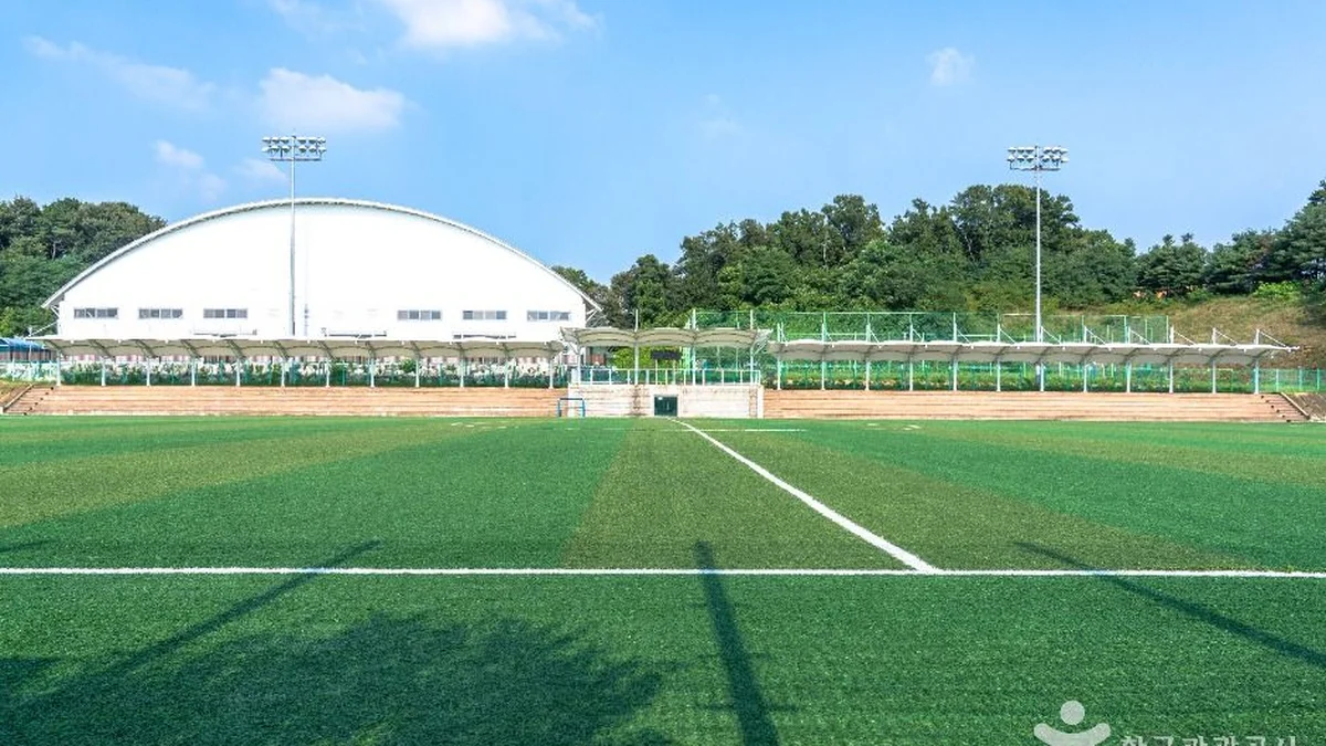 경기 이충레포츠공원 체험, 평택에서 스포츠와 여유를 동시에