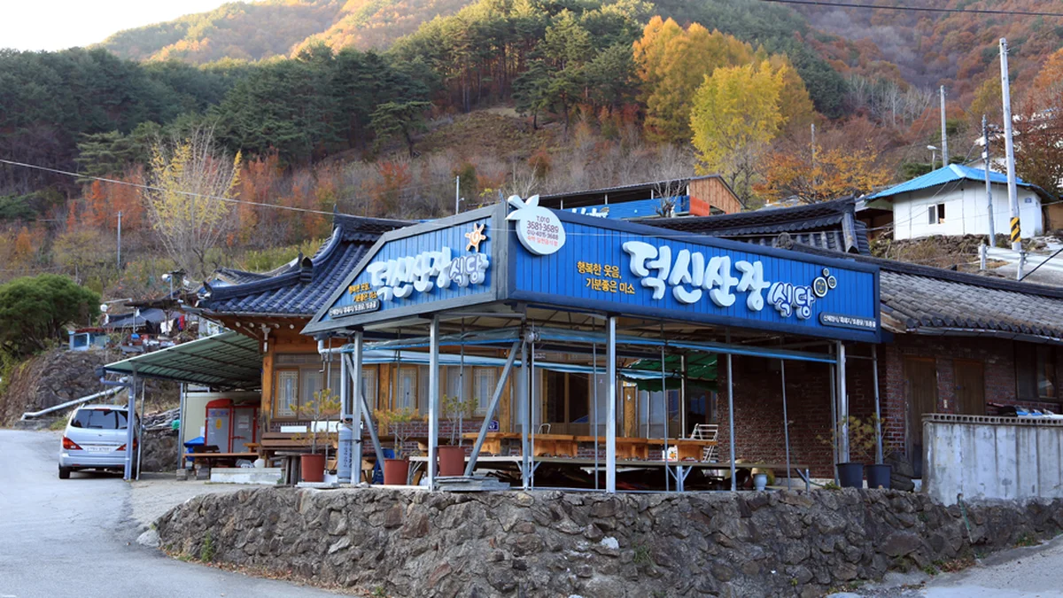 전북 덕신산장민박식당 맛집, 산채 백반 정식의 진수