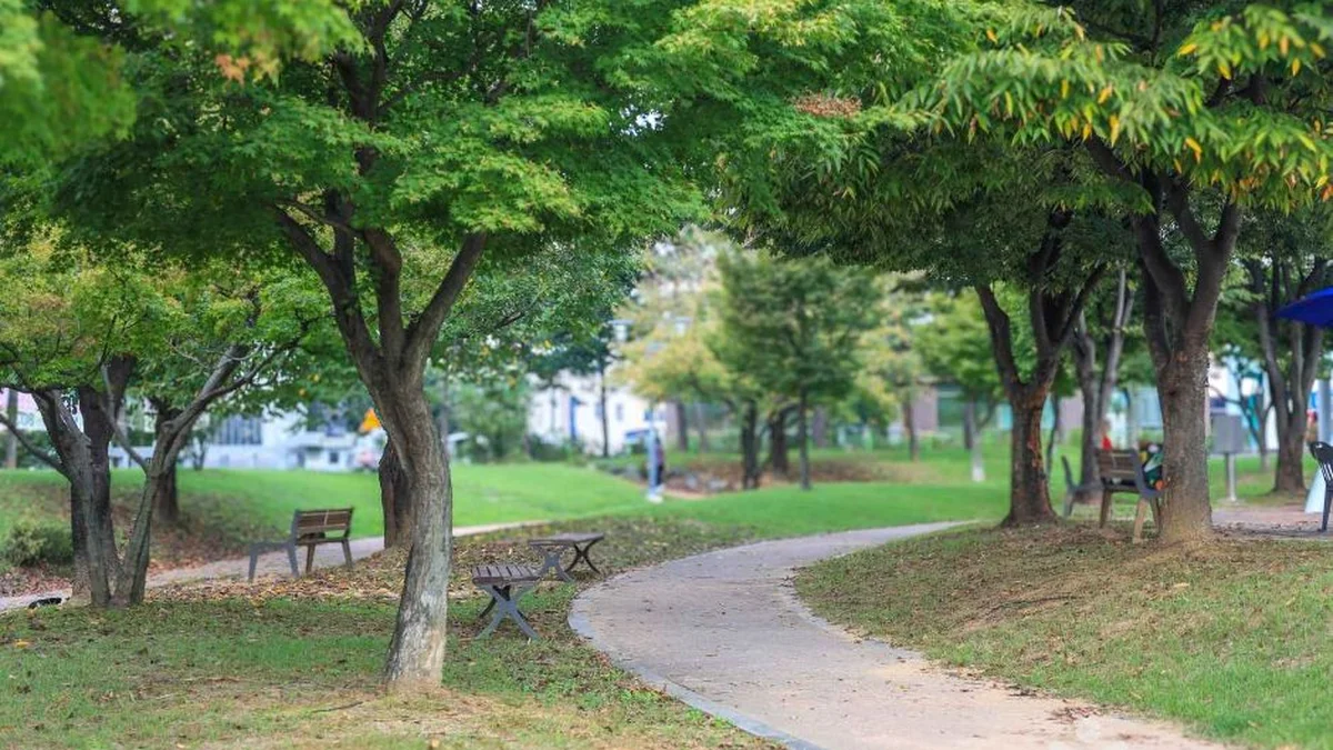 안성맞춤가족공원