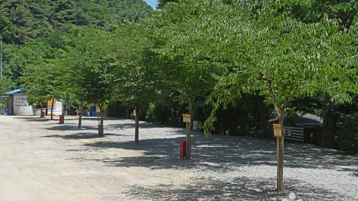 충남 광덕산 관광농원 체험, 천안 자연 속 여유