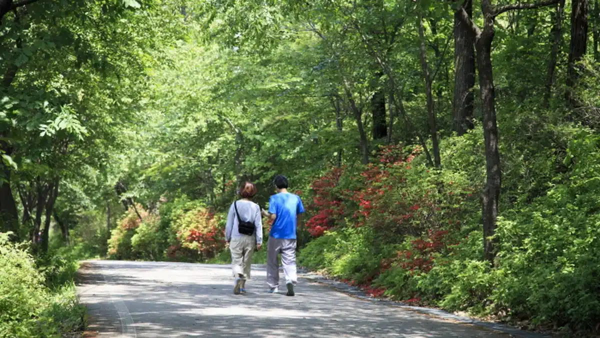 서울 망우 역사문화공원, 가을 여행에 꼭 가볼만한곳