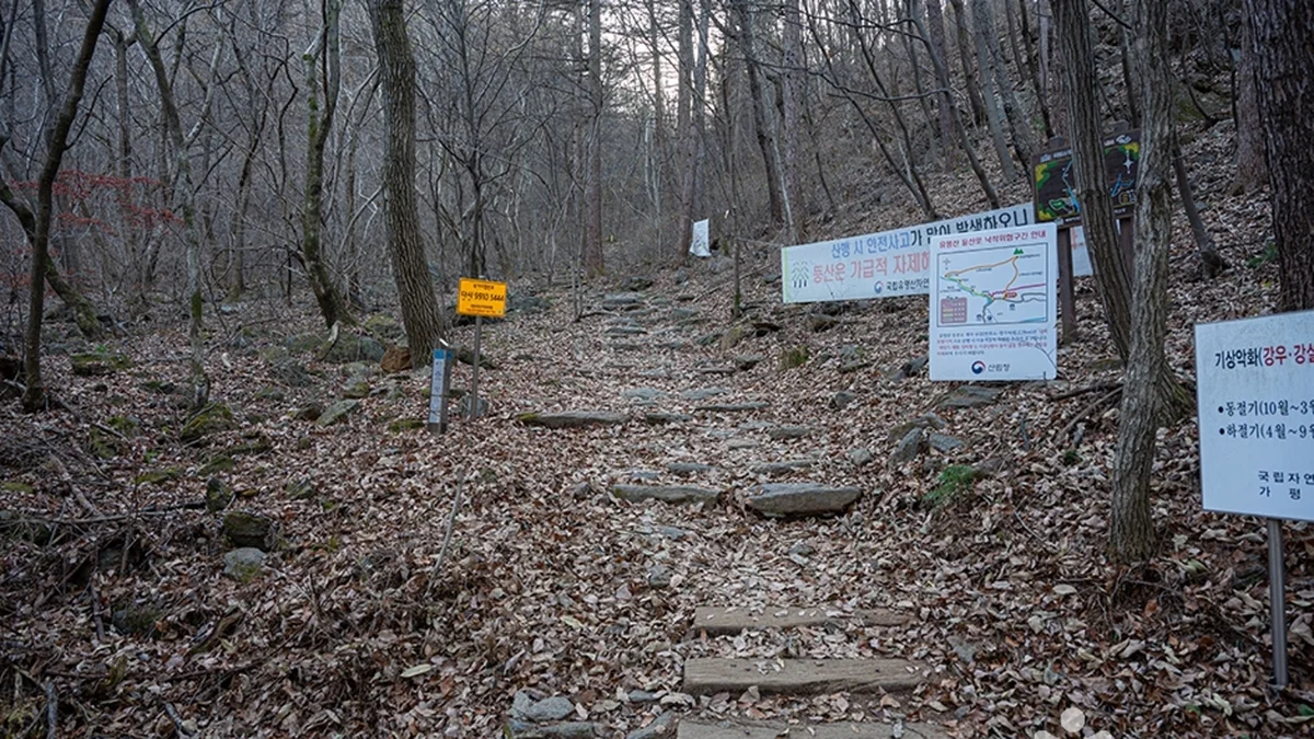 유명산