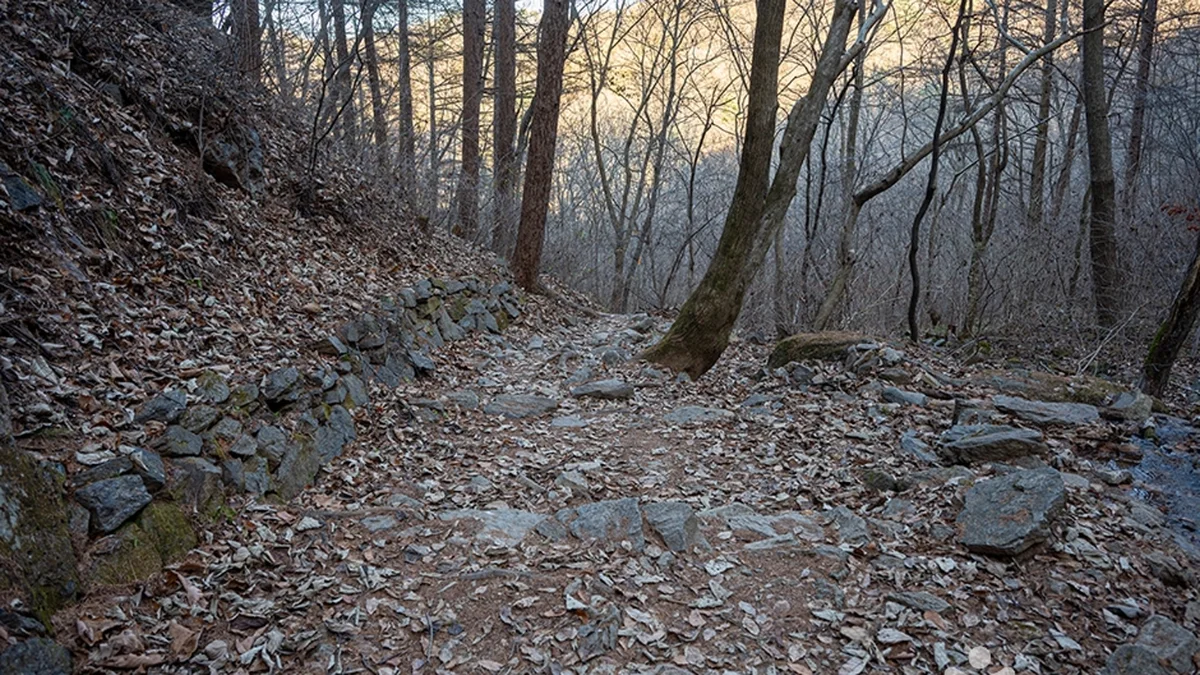 유명산