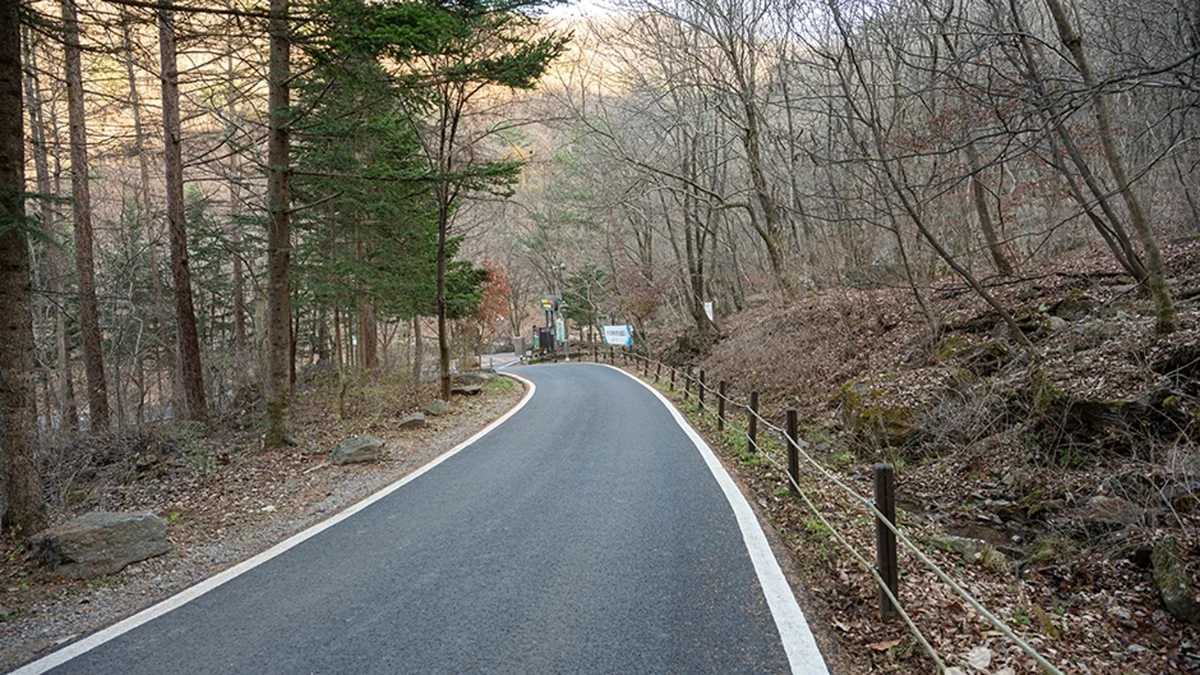 유명산