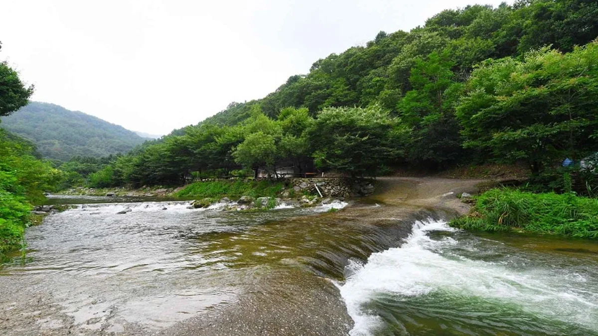 경기 천진암계곡 축제, 가을 단풍 여행 추천 명소
