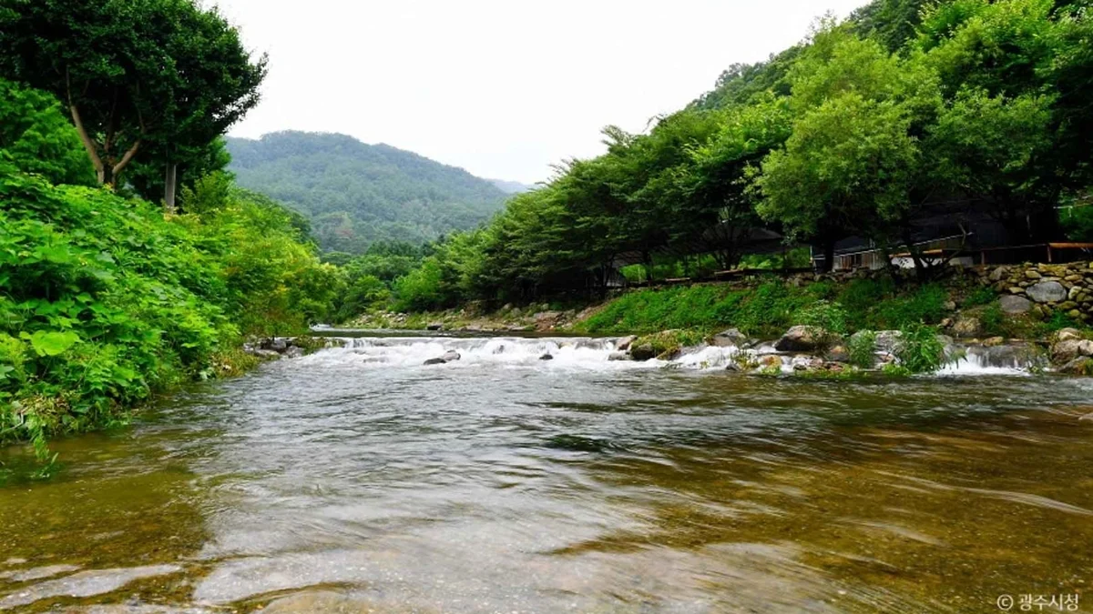 천진암계곡