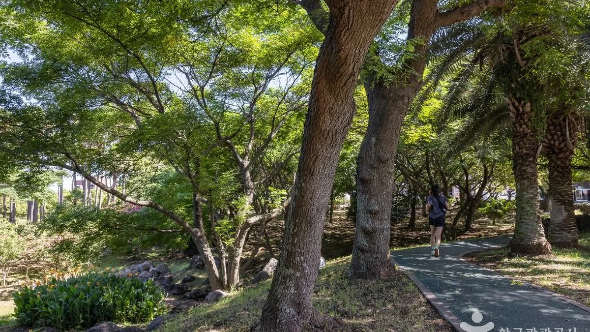 신산공원