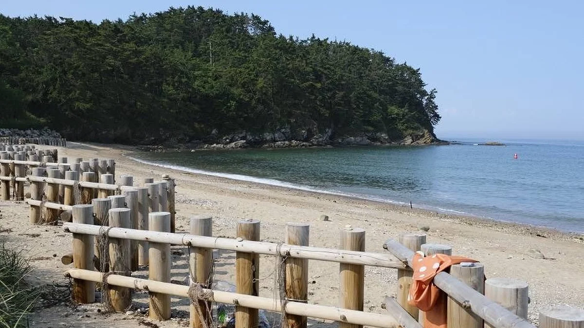 충남 의항해수욕장 가을 축제, 무료 입장과 주차 정보