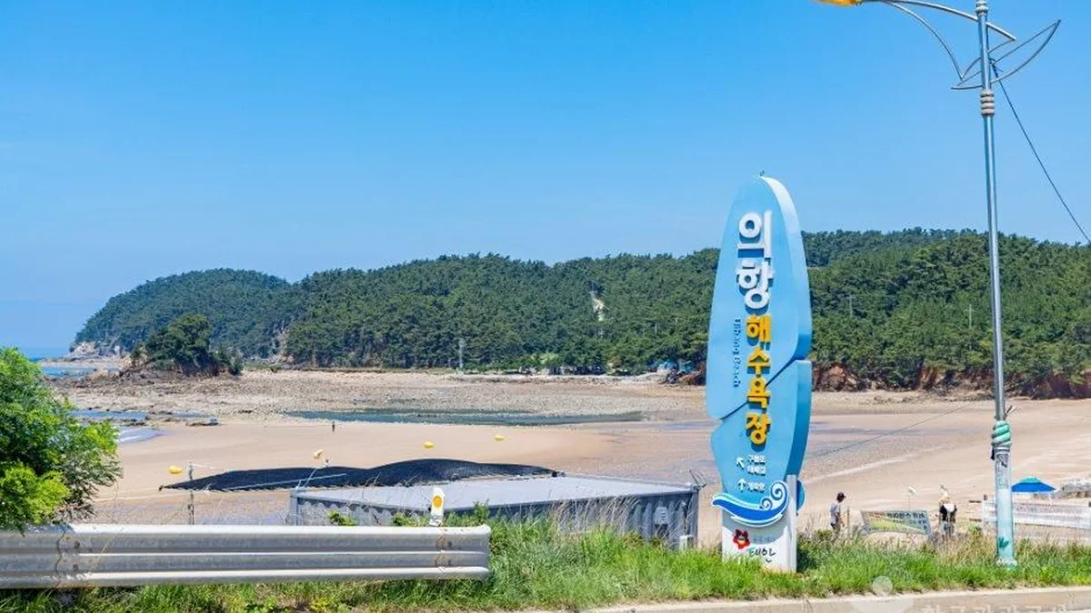 의항해수욕장