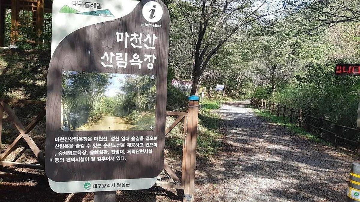대구 마천산산림욕장 축제, 자연 속 힐링 여행
