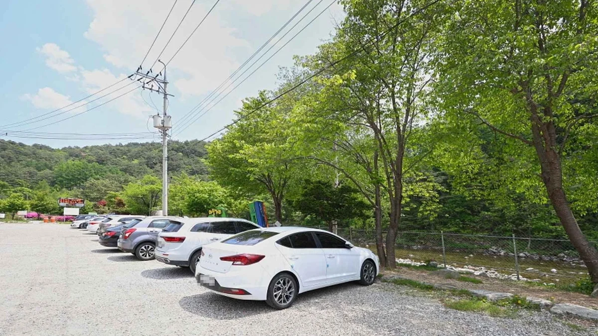 아침가리계곡