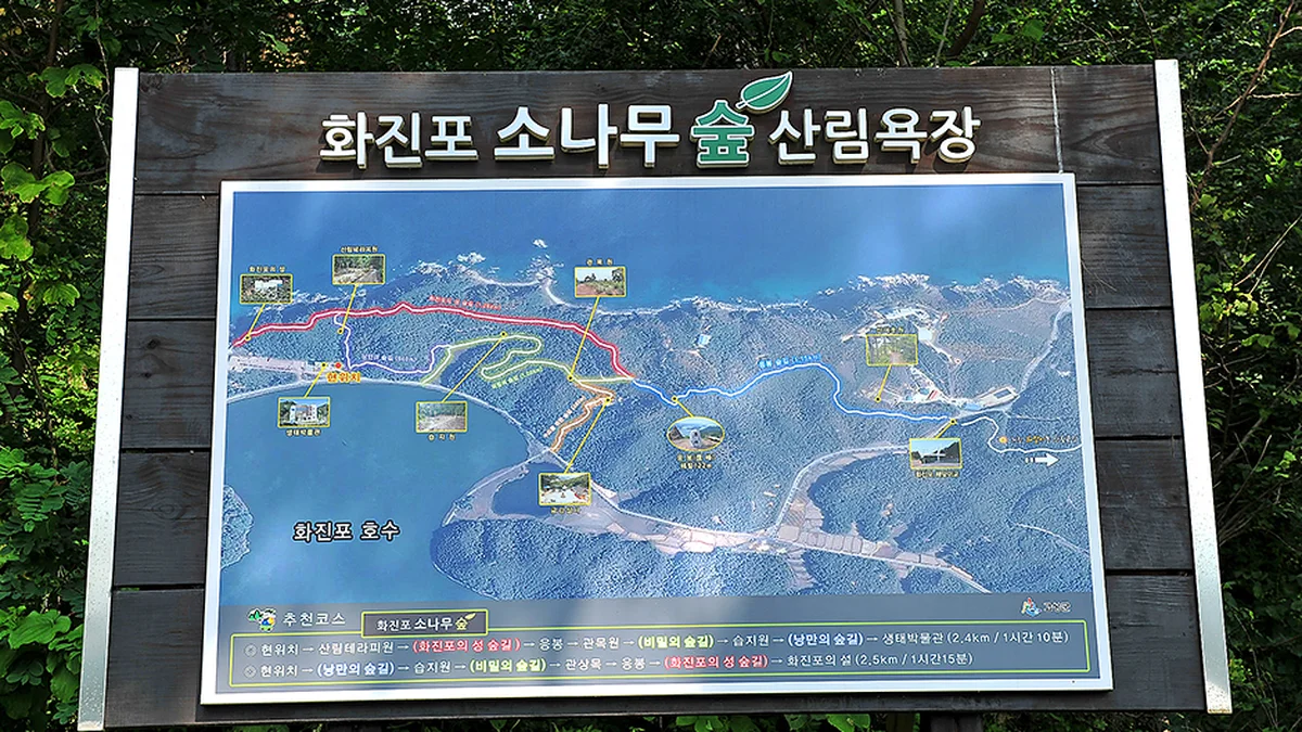 화진포소나무숲산림욕장