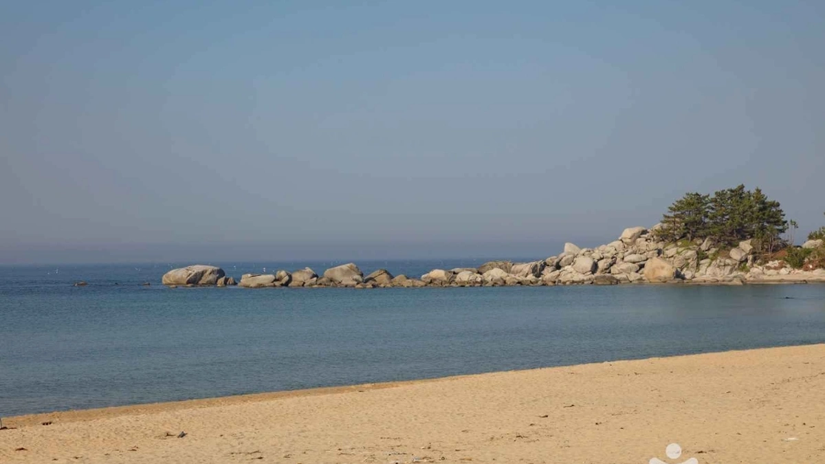 동산해수욕장