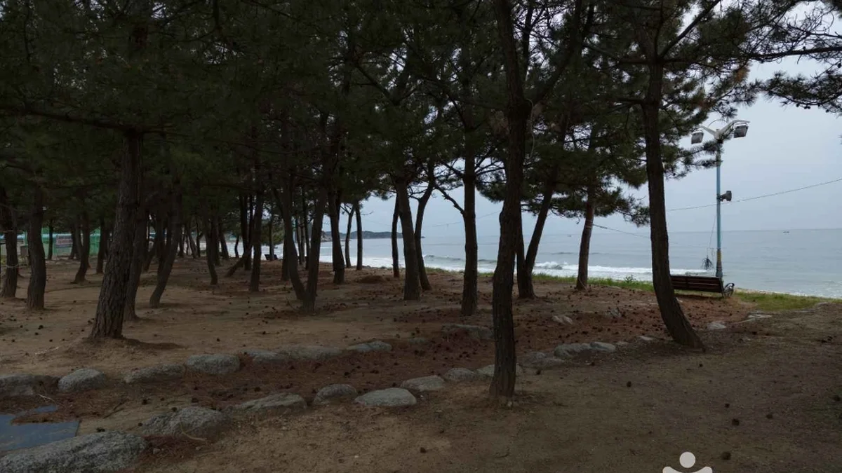 동산해수욕장