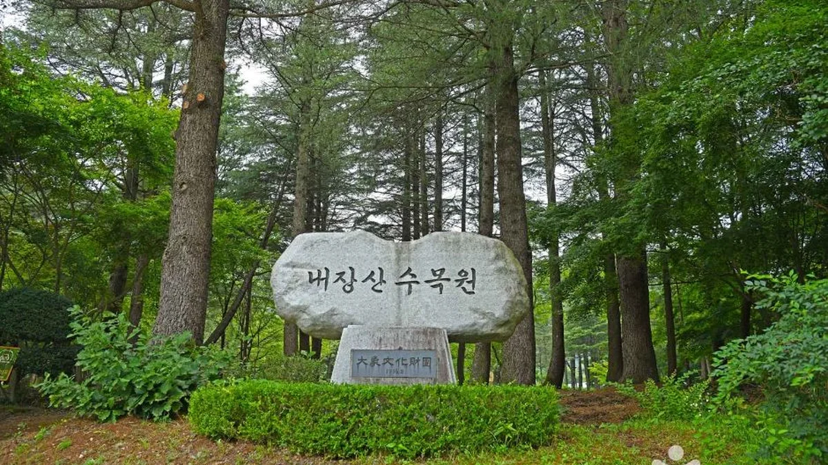 전북 내장산수목원 숙소, 자연 속 평화로운 휴식 제공
