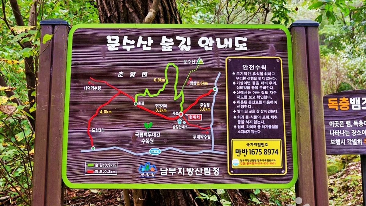 서벽금강소나무숲