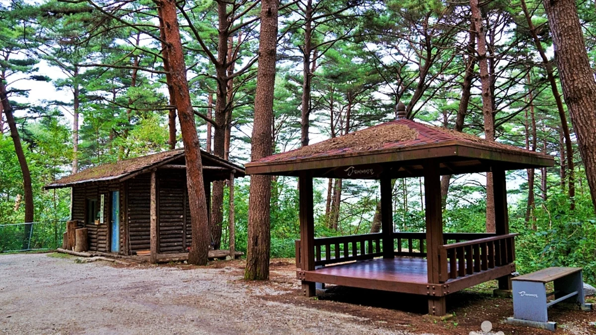 서벽금강소나무숲