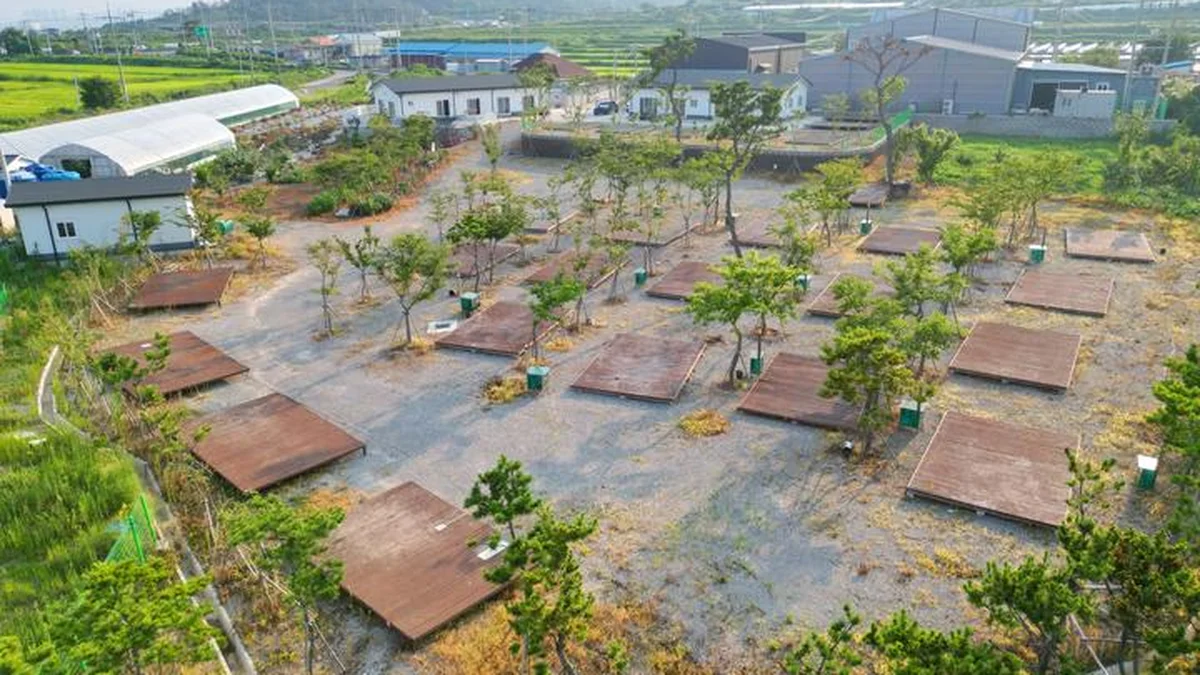 경북 석병관광농원 야영장 축제, 가을 캠핑 명소