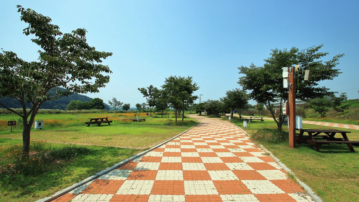 청양동강리오토캠핑장